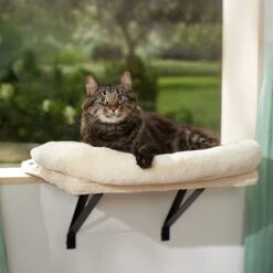 Frisco Plush Cat Window Perch With Removeable Bolster