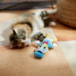 Disney Mickey Mouse Plush Kicker Cat Toy With Catnip + 3 Items -Optimal Pet Shop 929462 PT6. AC SS1800 V1690897484