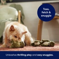 Frisco Volcano Hide & Seek Puzzle Plush Squeaky Dog Toy Refills, 3 Count & Frisco Volcano Hide & Seek Puzzle Plush Squeaky Dog Toy -Optimal Pet Shop 962078 PT4. AC SS1800 V1694782978