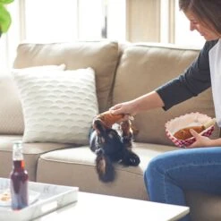 Frisco Corndog Interactive Plush Squeaky Dog Toy & Frisco Guacamole Hide & Seek Puzzle Plush Squeaky Dog Toy -Optimal Pet Shop 962086 PT3. AC SS1800 V1694782979