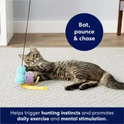 Frisco Fabric Teaser Wand Cat Toy & Frisco Bird With Feathers Teaser Wand Cat Toy With Catnip -Optimal Pet Shop 962094 PT8. AC SS1800 V1694782976