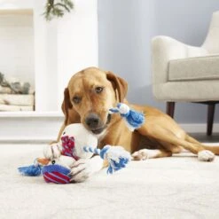 Frisco Holiday Snowman Plush With Rope Squeaky Dog Toy & Frisco Holiday Reindeer Plush With Rope Squeaky Dog Toy -Optimal Pet Shop 986174 PT4. AC SS1800 V1698258345