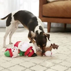 Frisco Holiday Santa's Helpers Plush Squeaky Dog Toy, 3 Count & Frisco Holiday Tree Thin Plush Squeaky Dog Toy -Optimal Pet Shop 986222 PT4. AC SS1800 V1698258463