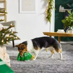 Frisco Holiday Santa's Helpers Plush Squeaky Dog Toy, 3 Count & Frisco Holiday Tree Thin Plush Squeaky Dog Toy -Optimal Pet Shop 986222 PT8. AC SS1800 V1698257791