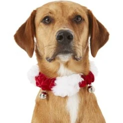 Frisco Holiday Dog & Cat Santa Hat, 1 Count & Frisco Jingle Bells Dog & Cat Holiday Collar With Bells, 1 Count -Optimal Pet Shop 986254 PT7. AC SS1800 V1698258115