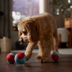 Frisco Holiday Ho Ho Ho Fetch Squeaky Tennis Ball Dog Toy & Frisco Holiday Arctic Friends Stuffing-Free Skinny Plush Squeaky Dog Toy -Optimal Pet Shop 986310 PT4. AC SS1800 V1698257790